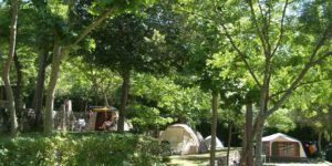 Les Pinèdes Emplacement Nature 2