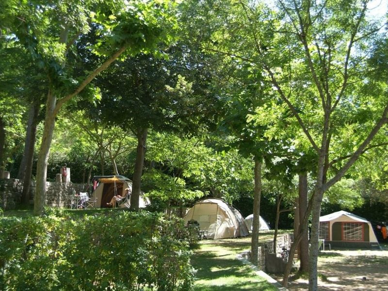 Les Pinèdes Emplacement Nature 2