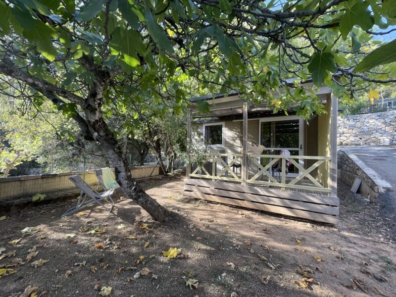 Tonga ext (3)