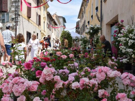 Fete de la rose la colle sur loup