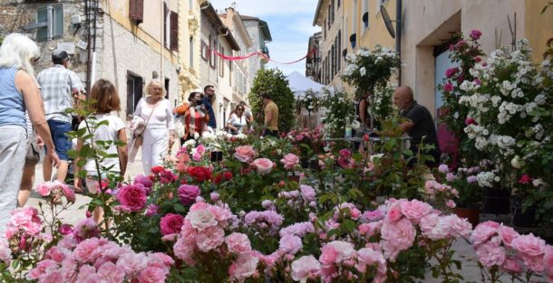 Fete de la rose la colle sur loup