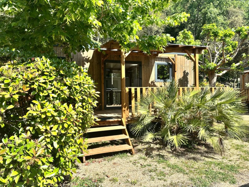IMG_9856_edited