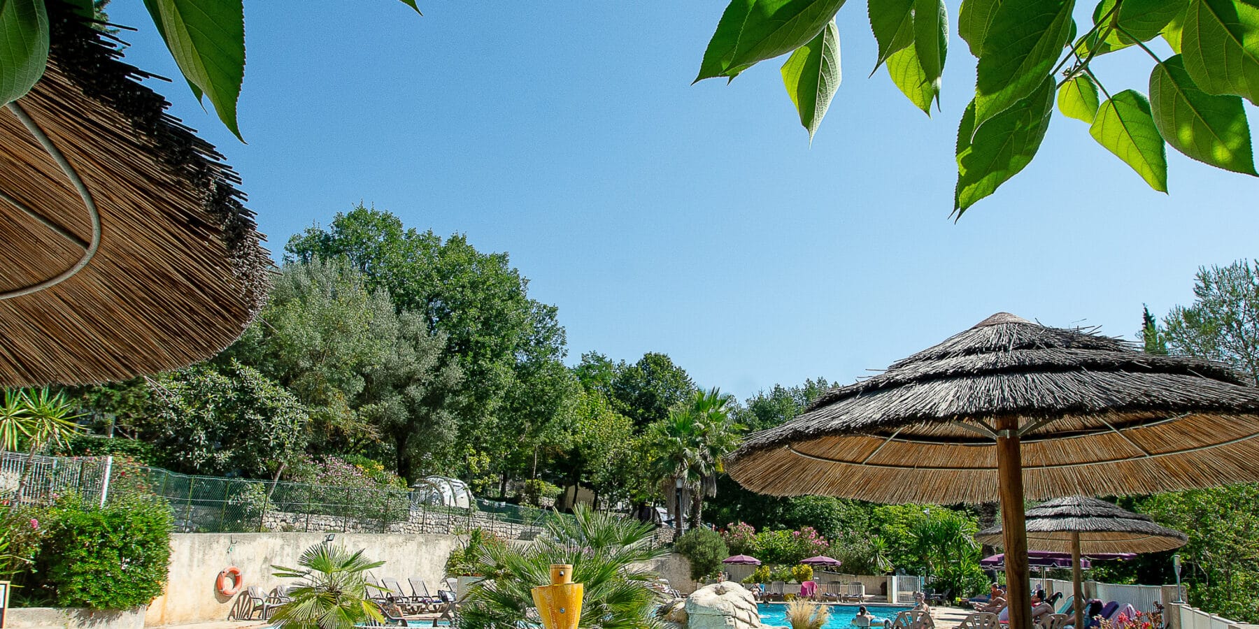 PINEDES 2024 ESE 229